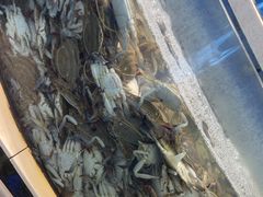-海天盛宴新派海鲜自助餐厅(群力店)