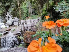 -深圳仙湖植物园