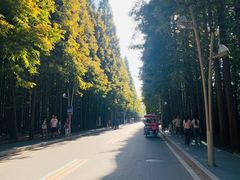 -日照海滨国家森林公园