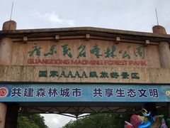-广东茂名森林公园