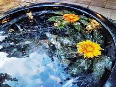 -天目湖御水温泉·度假酒店