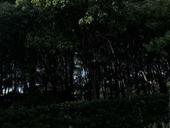 -嘉北郊野公园