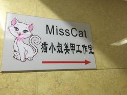 -猫小姐头道汤