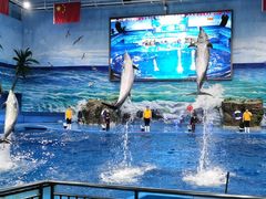 -多彩贵州城极地海洋世界