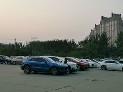 -枫花园汽车电影院(朝阳公园店)