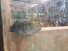 -昆明动物园