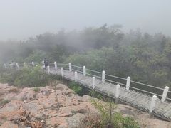 -石老人观光园