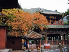 -报恩寺(平武县)