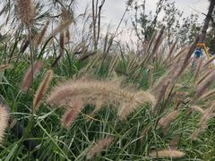 -汉长安城未央宫国家考古遗址公园