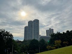 -龙头寺公园