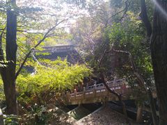 -雨花胜境