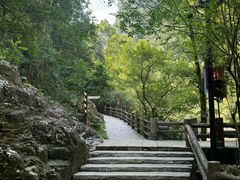 -刘伯温故里景区百丈漈