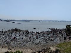 -红岛休闲渔村