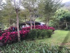 -瑞穗牧场