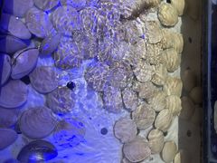 -千百叶海鲜自助餐厅(万达广场店)