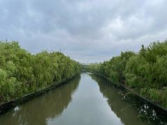 -广富林郊野公园