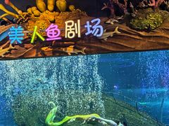 -太奥幻太奇海洋馆