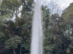 -九龙公园