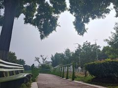 -金银湖国家城市湿地公园
