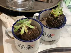 -哈根达斯(武汉天地店)