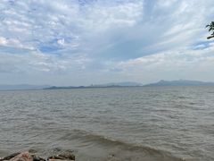 -深圳湾公园(南山区)