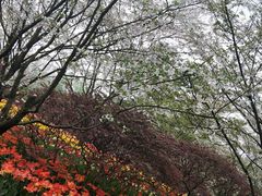 -好声音时尚量贩KTV(之心城店)