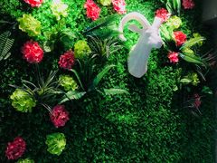 -九府羊·鲜羊火锅·烤串(新华路店)