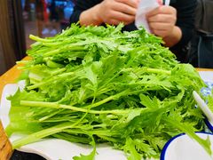 青菜拼盘-大菊西丰老式煎肉(红旗路店)