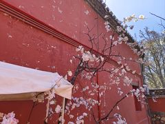 -潭柘寺景区