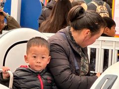 -海合安成都极地海洋公园