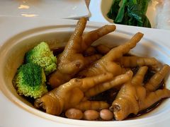 鲍汁凤爪-麒麟中餐厅·经典粤菜·地道菜式老字号(广州长隆酒店)