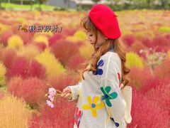 -映月湖中央公园