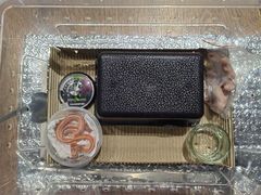 -酷以爬仙阁实体爬宠店·守宫·蜥蜴·专业繁育