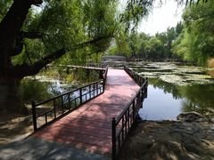 -青城公园