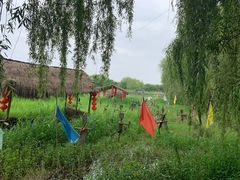 -长兴太湖图影湿地文化园