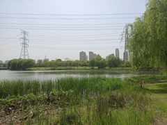 -九里河湿地公园