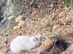 -狼山风景名胜区