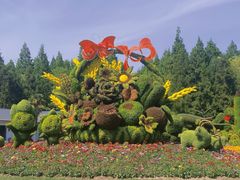 -东平国家森林公园