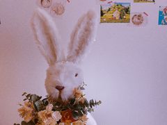 -猫腻·猫咖·撸猫馆(星光大道店)