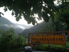 -牛背梁国家森林公园