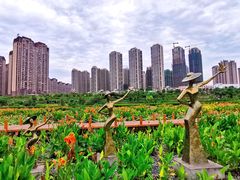 -那考河湿地公园