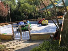 -昆山城市生态森林公园