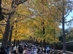 -八大关景区