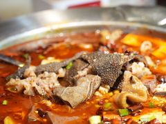 -茅庐毛血旺(烟台大悦城店)
