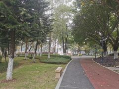 -映月湖公园