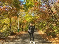 -三块石国家森林公园