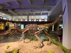 -自贡恐龙博物馆