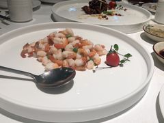 清炒凤尾和虾仁-申粤轩酒楼·三十年粤菜经典(丁香花园店)