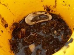 -那琴半岛地质海洋公园