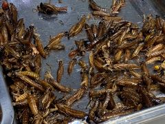 -铁锅炖灶台鱼老三炖鱼馆